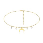 Choker argint placat cu aur galben cu luna si cristale DiAmanti ALCH0017Y-AS (Argint 925‰ 2,5 g.)